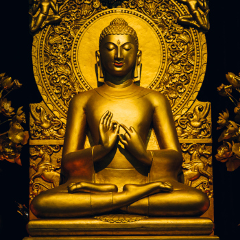 Budda feeling financial security